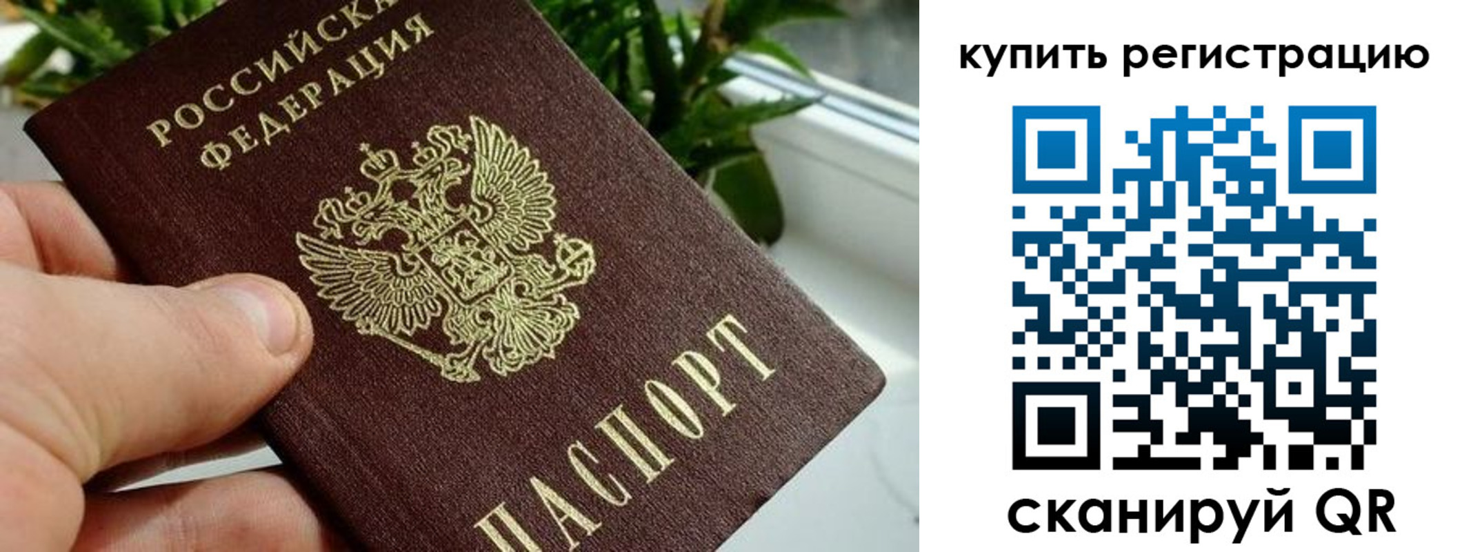 прописка гарантия в Борзе